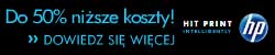 Polityka