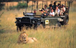 Cztery dekady zachwytu nad światem